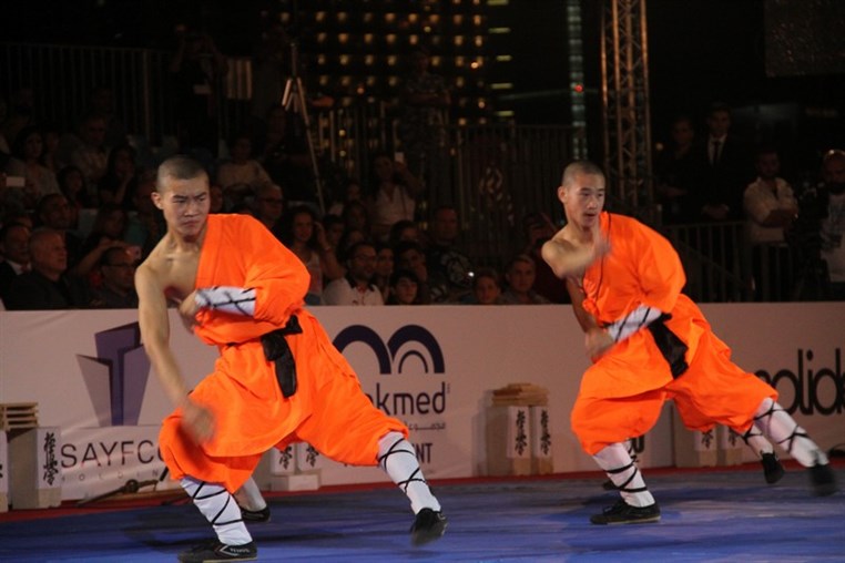 Martial Arts Festival